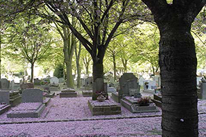 Cimetière à Perpignan