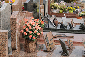 Enterrement Cimetière de Villepinte