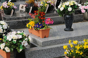 Cimetière sur les Pays de la Loire