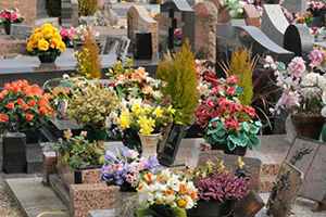 Cimetière à Lille