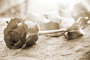 Fleurs Cimetière dans l'Eure